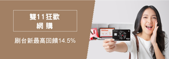 雙11狂歡網購